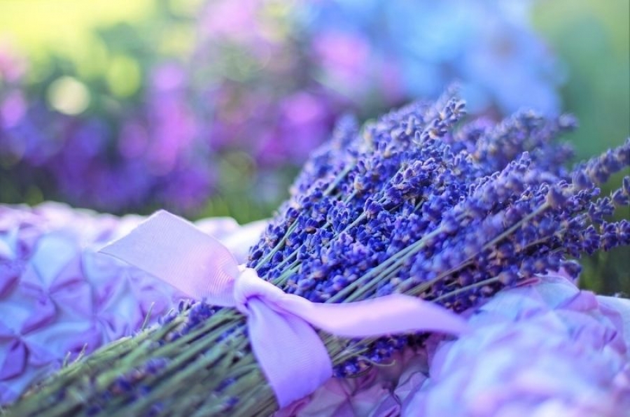 Mielialaan vaikuttavat yrtit: Loivenna levotonta oloa laventelilla
